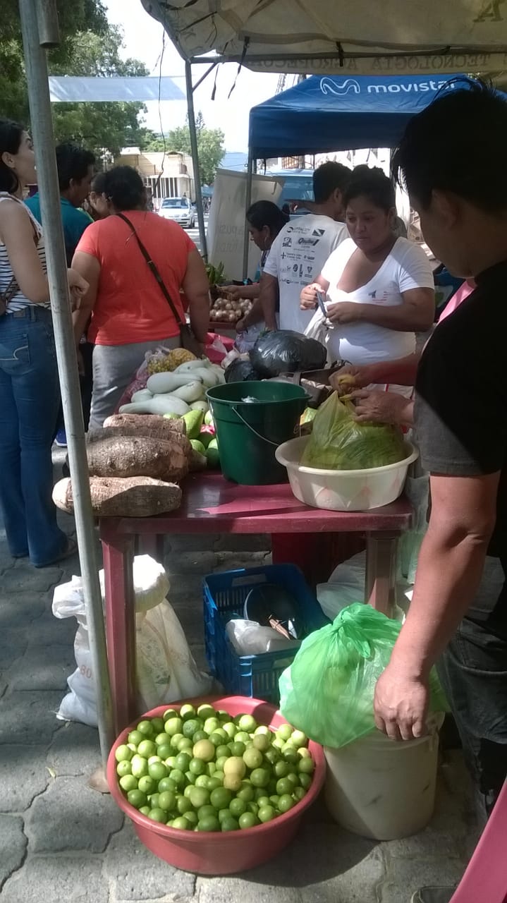 feria1